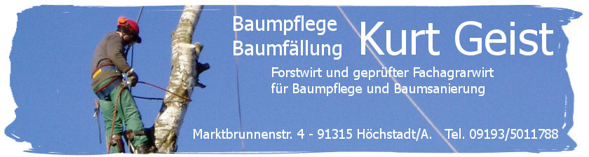 Baumpflege Geist